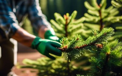 Nawóz do iglaków – jak stosować go efektywnie dla bujnego wzrostu