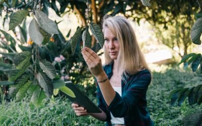 Co to są bogactwa naturalne i dlaczego są tak ważne?