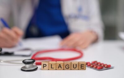 Jak uzyskać ubezpieczenie zdrowotne w Polsce?