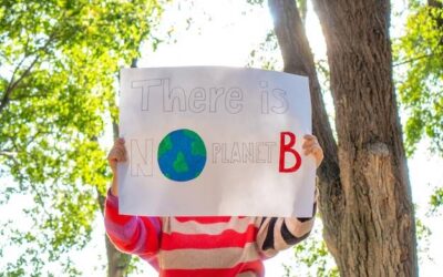 Czy składamy zerowe sprawozdanie do BDO?