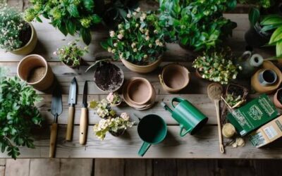 Jak rozpoznać idealny moment na przesadzanie kwiatów doniczkowych?